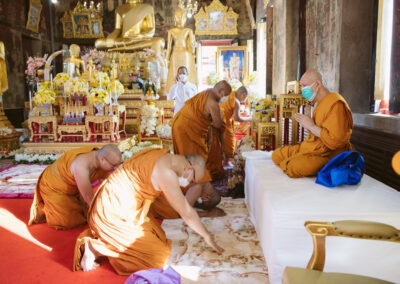 IMG-11